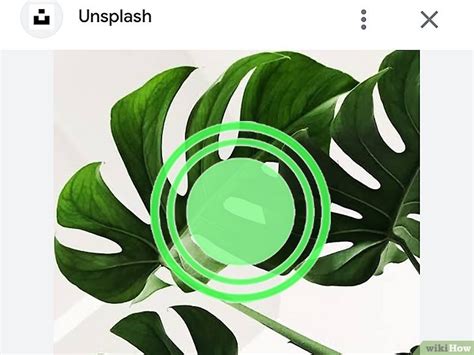 Image result for Download Single File