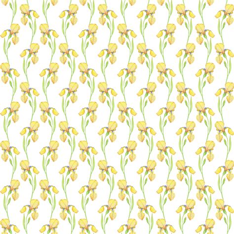 Yellow irises seamless pattern, watercolor illustration of flowers ...