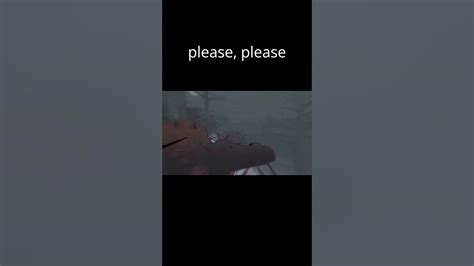 Image result for Bush Wolves