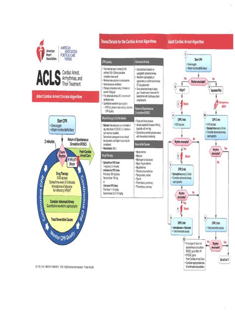 Image result for ACLS Flowchart