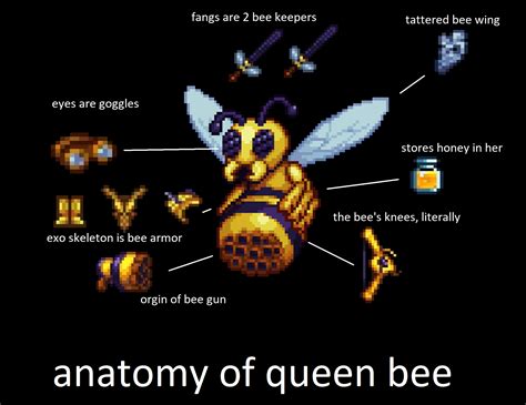 anatomy of queen bee : r/Terraria