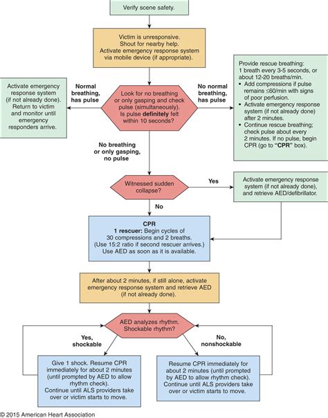Image result for AHA Infant BLS Algorithm