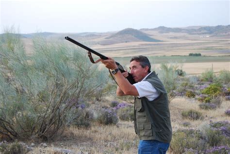 Impacto de la gravedad en la trayectoria del proyectil