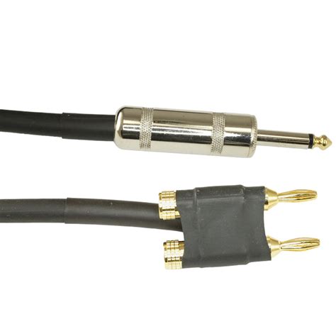 12ga 1/4-dual banana speaker cable 3ft | 12ga Banana to 1/4" Speaker ...