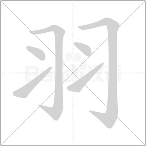 羽字笔顺笔画顺序_羽的笔顺怎么写正确_羽字怎样写好看_羽字拼音,部首,字帖_汉字笔顺查询网