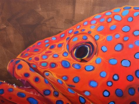 Image result for Normal Phase Grouper