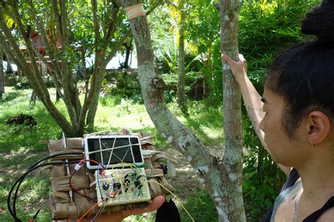 Tree Network 的图像结果