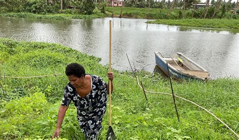 One way the Church is striving to increase self-reliance in Fiji ...
