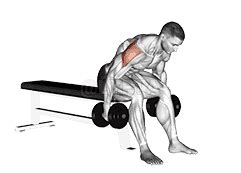 Image result for Reverse Fly Over FitBALL