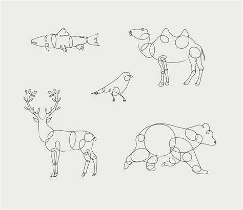 Image result for Beginner Coding Algorithms