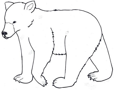 Polar Bear Outline Printable
