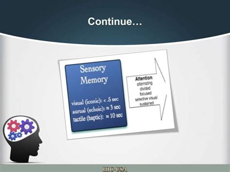The Information Processing Model Three Memory Systems 的图像结果