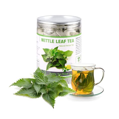 Amazon.com : 55 Nettle Leaf Tea Bags, 100% Natural & Pure Stinging ...