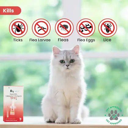 Pet Deworming : Effective Solutions for Dogs & Cats – dspetstore.com