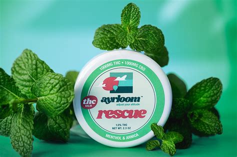 All You Need to Know About CBD, THC, and Everything in Between – ayrloom-store