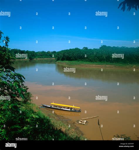 River in amazon region Stock Photo - Alamy
