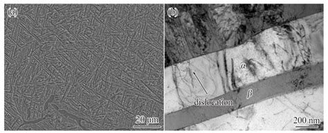 Plastic Shakedown Behavior and Deformation Mechanisms of Ti17 Alloy ...