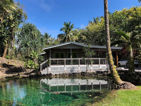 Wai 'Olena - "Healing Ponds" - Houses for Rent in Hilo, Hawaii, United ...
