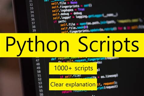 How to Use Python Scripts 的图像结果