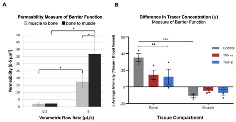 TGF-beta Increases Permeability of 70 kDa Molecular Tracer from the ...