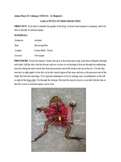 Frog Dissection Tutorial 的图像结果