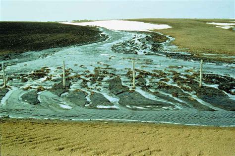 Clay Pot Paint Tutorial 的图像结果