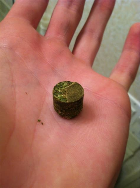 Image result for Gram of Hash