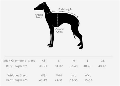 Measurement Guide | Jute & Sable – Luxury Italian Greyhound & Whippet ...