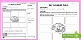 What is the Brain? For Kids | Information and Resources
