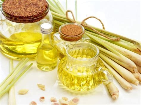 Lemongrass Oil Manufacturer, Supplier from Guwahati