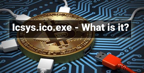 Image result for ICO exe Program