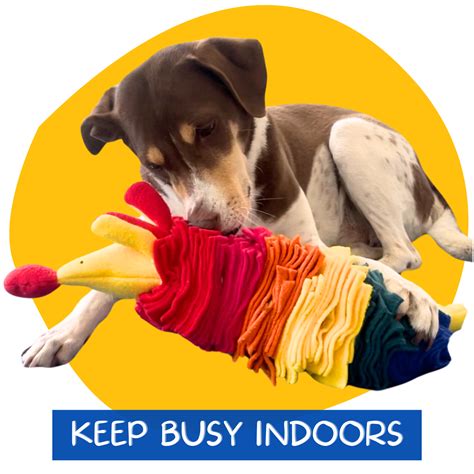 SNIFF n SNACK – For the love of Dog