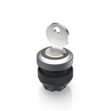 1.30.245.522/0000 RAFI | RAFI IP65 Key Switch 455-Way Tubular-Key | 523 ...