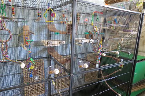 How Do You Say Cage In Spanish at Maxine Smith blog