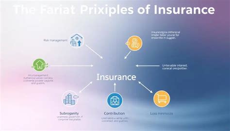 Image result for Explain Three Principles of Insurance