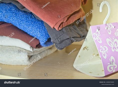 Image result for Cloth Moth Control
