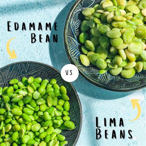 Lima Beans vs Edamame Beans - Balancing Bowls