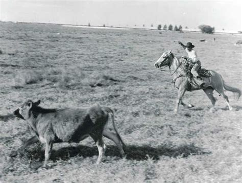 The Black Cowboys Of Florida : NPR History Dept. : NPR