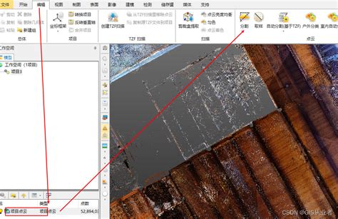 TrialWorks Tutorial 的图像结果