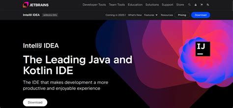 Top 10 IDEs for Developers in 2025 – TopatTop.com