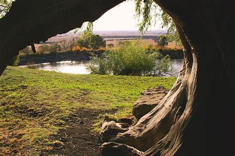 Distorted Depth Perception 的图像结果