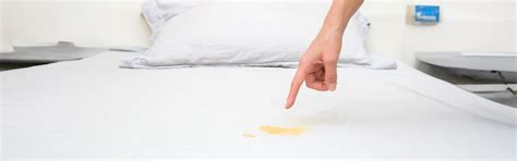 5 Best Ways to Get Rid of Different Types of Mattress Stains – Kurlon