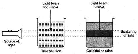 Image result for Class 10th Science Human Eye Chapter