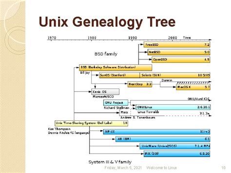 Image result for Linux Family Tree