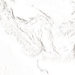 National Rabies Control Programme (NRCP)