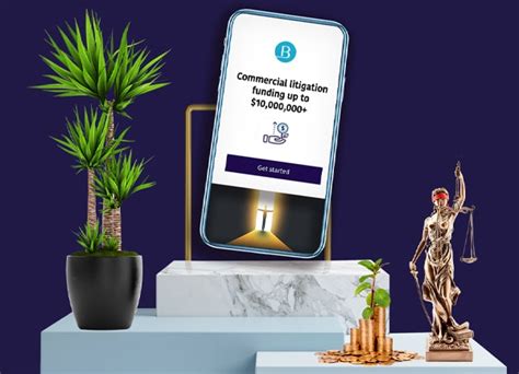 Litigation Financing 的图像结果