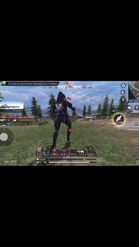 Image result for How to Use Pro Bot