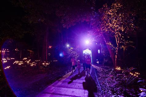 Portal of Dreams Archives - Dream Forest Langkawi