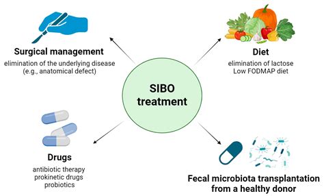SIBO Relief Without Antibiotics: A Friends Guide