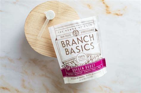 6 Natural Alternatives to Dish Soap & Dishwasher Detergent | Branch Basics